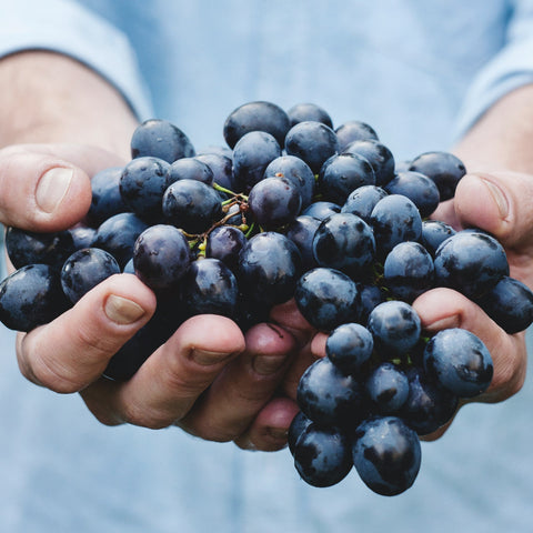 Rotwein